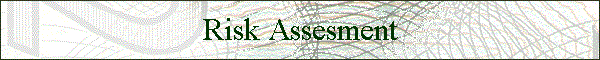 Risk Assesment